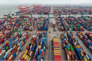 1681785480714098.jpg 1681784718773.jpg